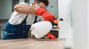 Emergency Pest Control Services in Naples, TX